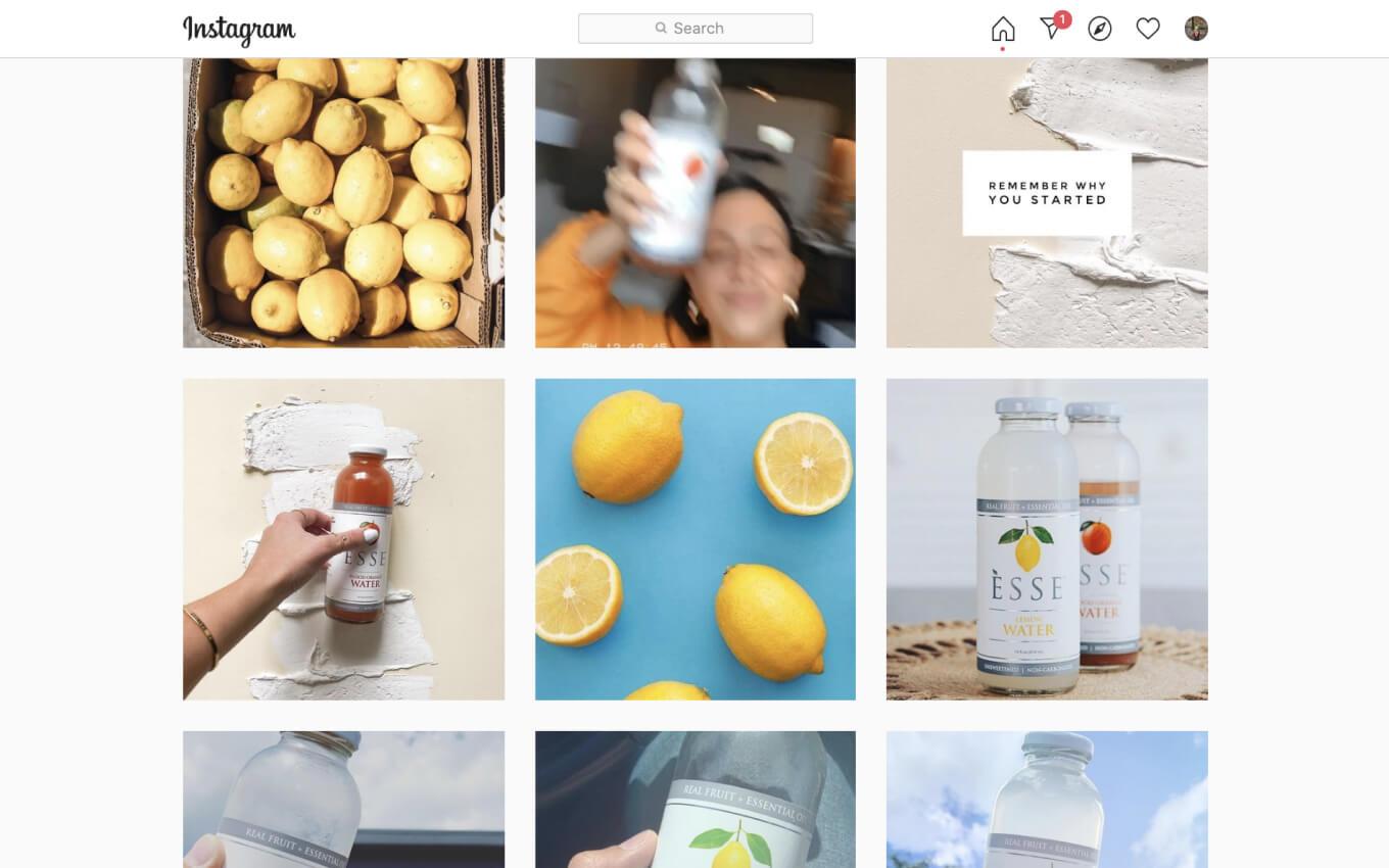 Screenshot of Esse Water's Instagram feed of original, stock, user generated and collaborative posts