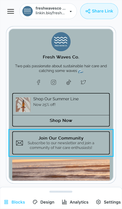 Fresh Waves Co. can collect followers’ emails through their Linkin.bio using the Mailchimp integration.