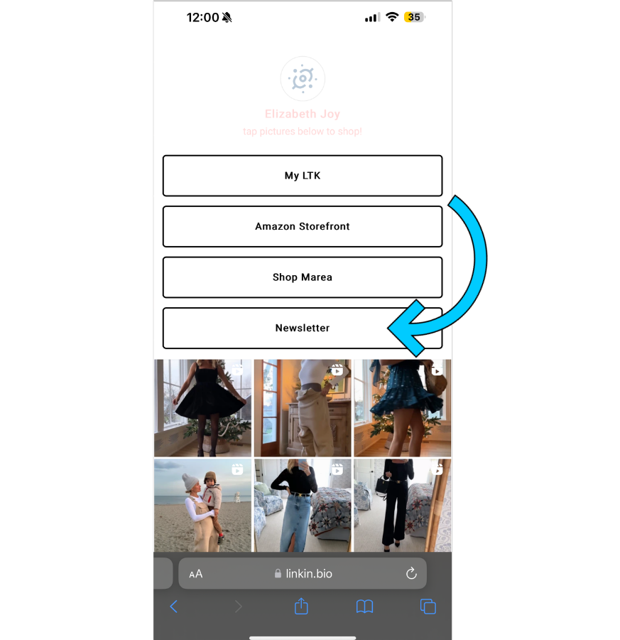 @lizjoy's Linkin.bio with an arrow pointing to her newsletter button. 