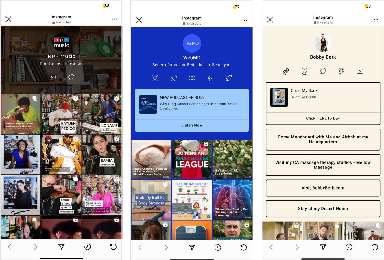 Three Linkin.bio pages.